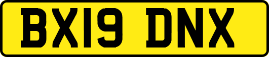 BX19DNX