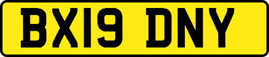 BX19DNY