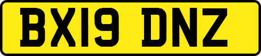 BX19DNZ