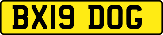 BX19DOG