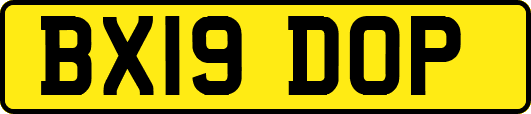 BX19DOP