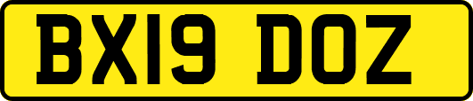 BX19DOZ