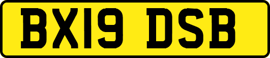 BX19DSB