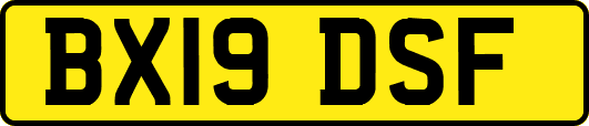 BX19DSF