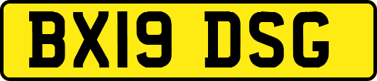 BX19DSG