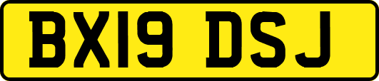 BX19DSJ