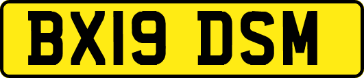 BX19DSM