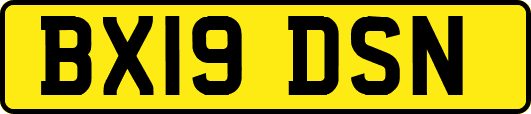 BX19DSN