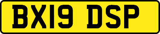 BX19DSP