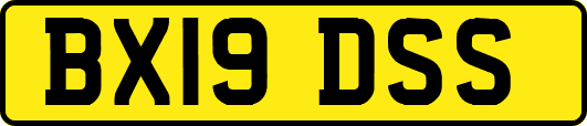 BX19DSS