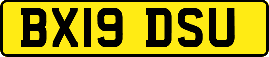 BX19DSU