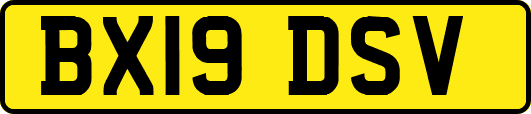 BX19DSV