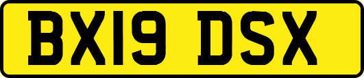 BX19DSX
