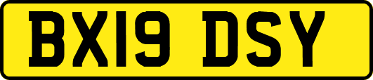 BX19DSY