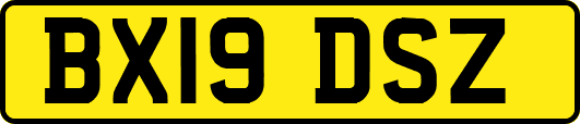 BX19DSZ