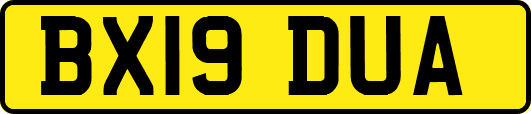 BX19DUA