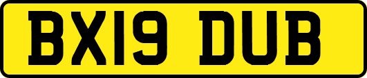BX19DUB