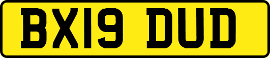 BX19DUD