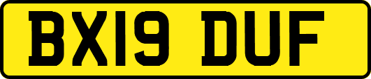 BX19DUF