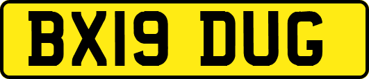 BX19DUG