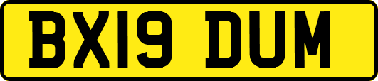 BX19DUM