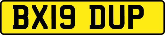 BX19DUP