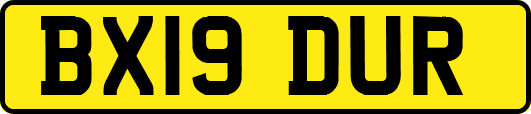 BX19DUR