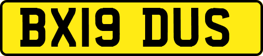 BX19DUS