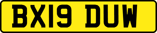 BX19DUW