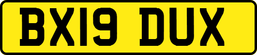 BX19DUX
