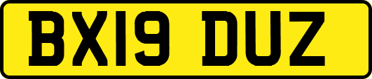 BX19DUZ