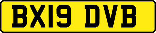 BX19DVB