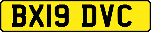 BX19DVC