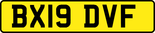 BX19DVF
