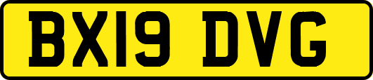 BX19DVG