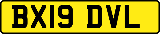 BX19DVL