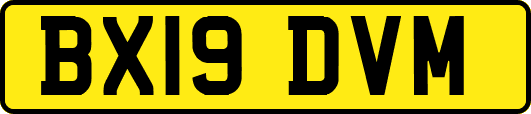 BX19DVM