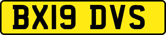 BX19DVS