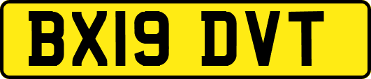 BX19DVT