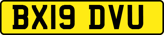 BX19DVU