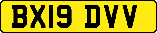 BX19DVV