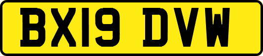 BX19DVW