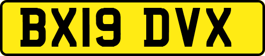 BX19DVX