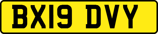 BX19DVY