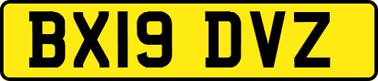 BX19DVZ