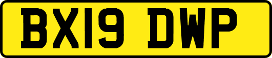 BX19DWP