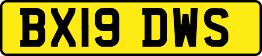 BX19DWS