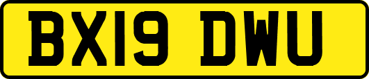 BX19DWU