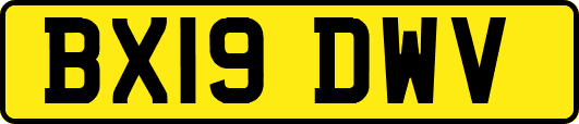 BX19DWV