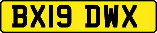 BX19DWX